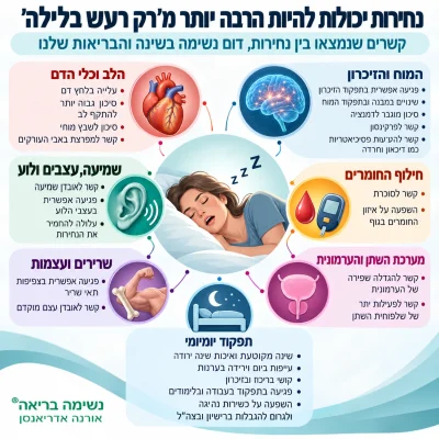 אינפוגרפיקה המציגה קשרים אפשריים בין נחירות ודום נשימה בשינה לבין בריאות המוח והזיכרון, הלב וכלי הדם, השמיעה והעצבים בלוע, חילוף החומרים, השרירים והעצמות, מערכת השתן והתפקוד היומיומי.