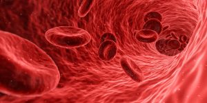 תפקידן של כדוריות הדם האדומות והקשר לחמצן - נשימה בריאה