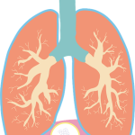נושמים עם הסרעפת